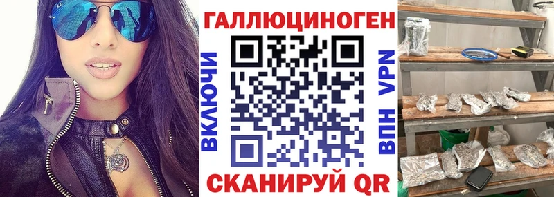 Галлюциногенные грибы прущие грибы  Купить закладки  Щигры 