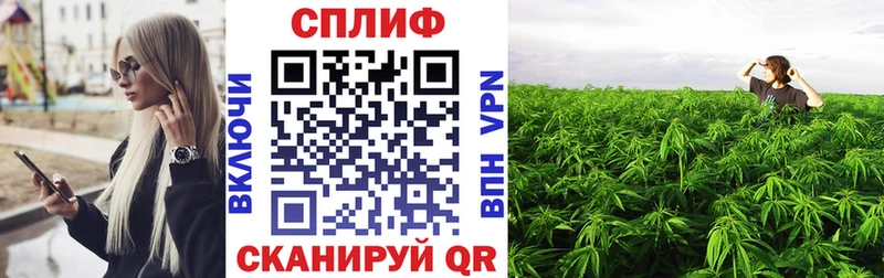 Купить где  Щигры  Марихуана MAZAR 